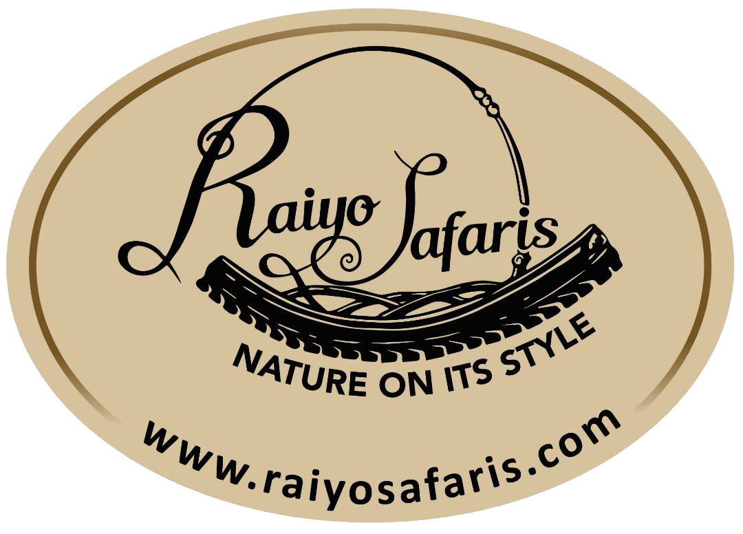 RAIYO SAFARIS | AFRICAN ADVENTURE